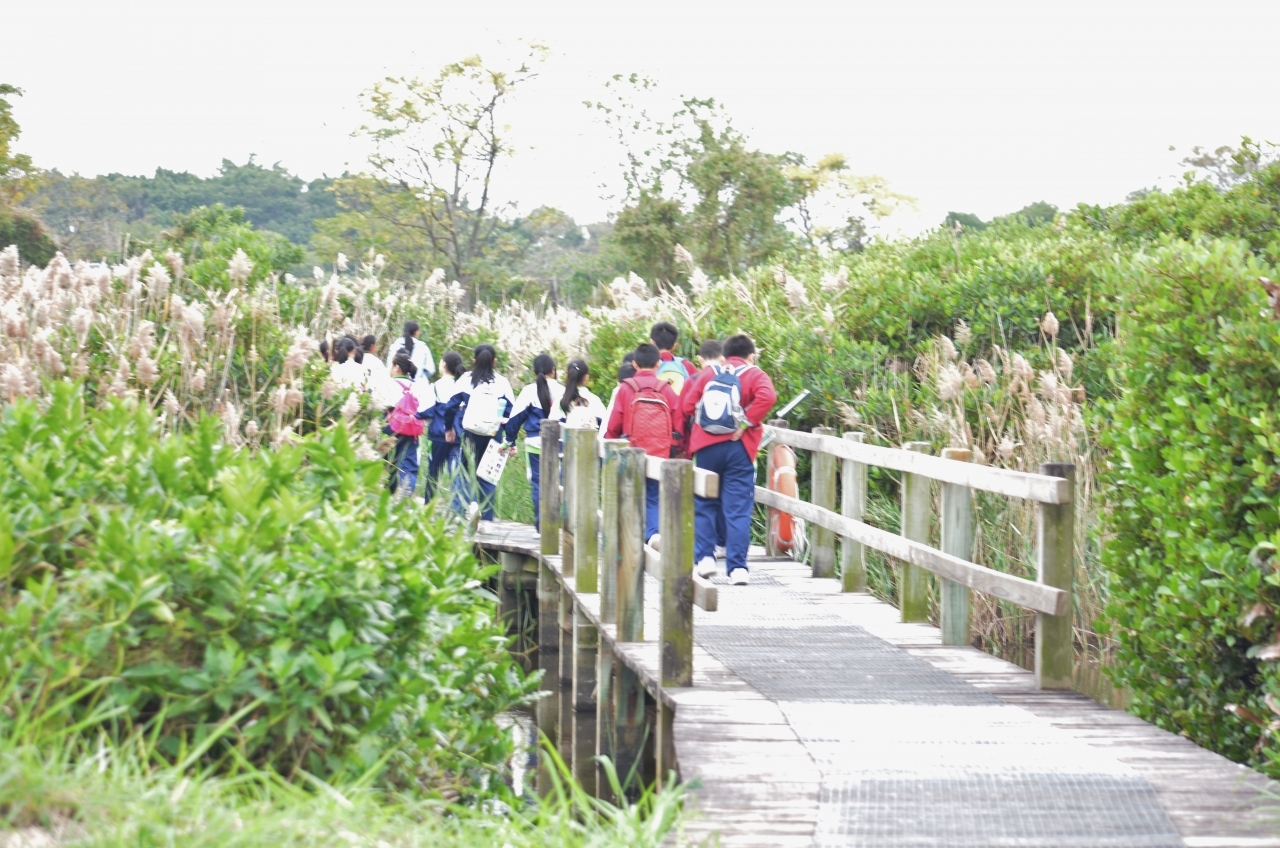 15-16訓育組米埔參觀活動 (58).JPG