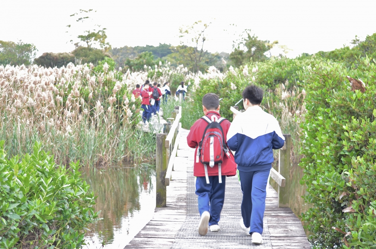 15-16訓育組米埔參觀活動 (59).JPG