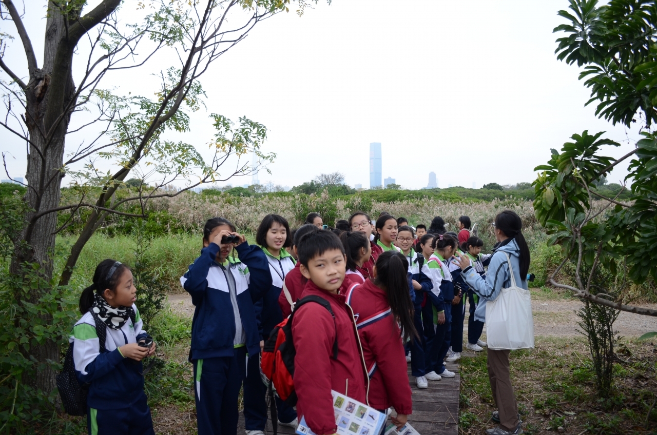 15-16訓育組米埔參觀活動 (62).JPG
