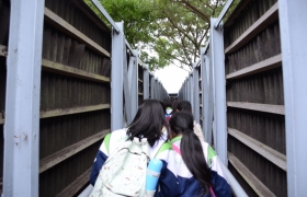 15-16訓育組米埔參觀活動 (12).JPG