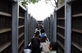 15-16訓育組米埔參觀活動 (13).JPG