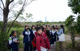 15-16訓育組米埔參觀活動 (62).JPG