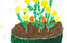 冠軍二正劉紫芊.jpg