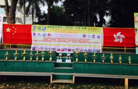 01清河鳳溪省港盃五人足球賽花絮14-2-2016.jpg