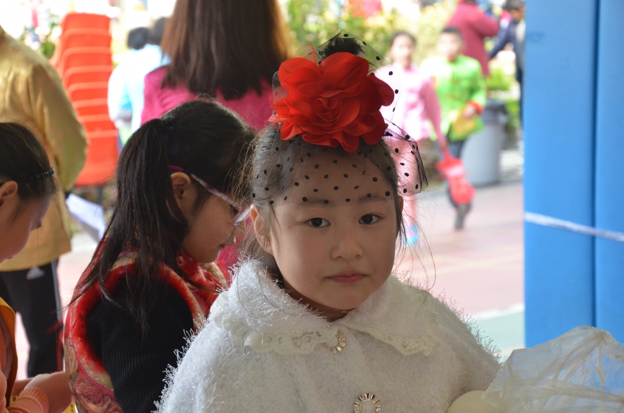 DSC_0782.JPG