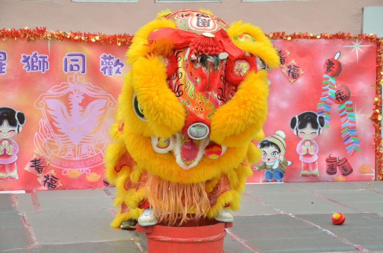 DSC_1250.JPG
