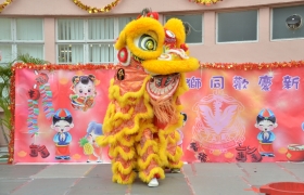 DSC_1247.JPG