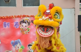 DSC_1248.JPG