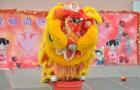DSC_1250.JPG
