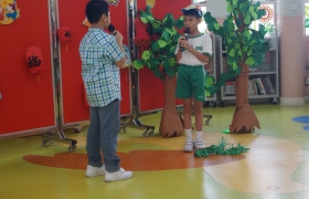 DSC01672_1600.JPG