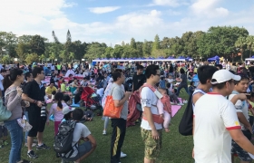 05.jpg