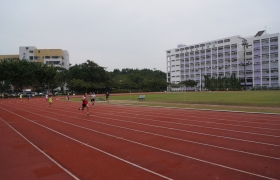 DSC03371.JPG