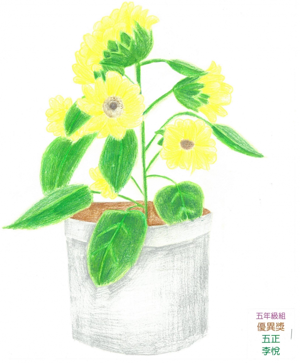 SKM_C364e17121809190_0027.jpg