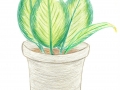 SKM_C364e17121809190_0017.jpg