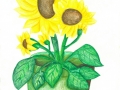 SKM_C364e17121809190_0028.jpg