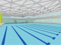 swimmingpool095.jpg