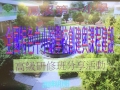 001 018_08_19_14_30_58_C_fakepath_58F8ED79-0940-4AD4-81D8-1E5327AA6E61.jpeg